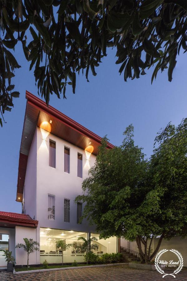 White Land City Hotel Dambulla Exterior foto